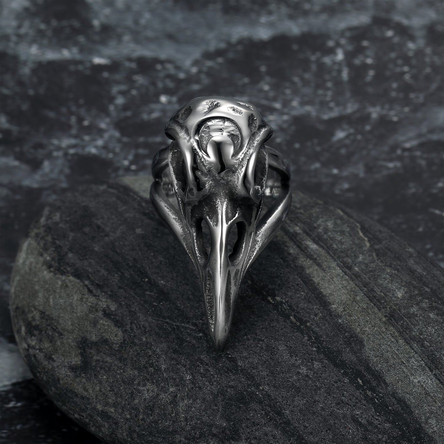 Bjorn Regalia Handcrafted Stainless Steel Raven Skull Biker Ring